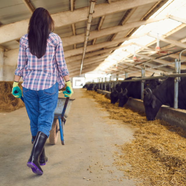 LANDWIRTSCHAFTLICHE SEILE